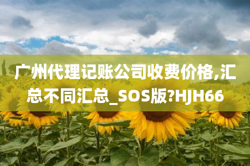 广州代理记账公司收费价格,汇总不同汇总_SOS版?HJH66