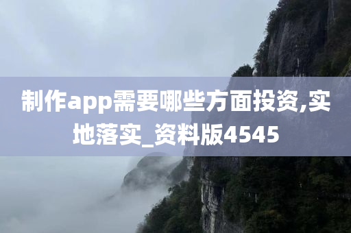 制作app需要哪些方面投资,实地落实_资料版4545