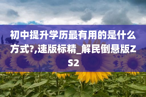 初中提升学历最有用的是什么方式?,速版标精_解民倒悬版ZS2