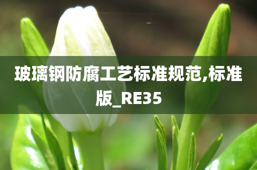 玻璃钢防腐工艺标准规范,标准版_RE35