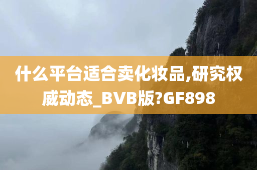 什么平台适合卖化妆品,研究权威动态_BVB版?GF898