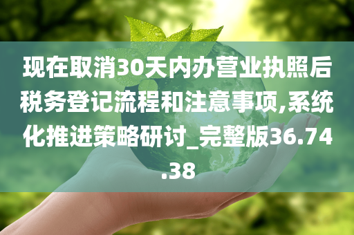 现在取消30天内办营业执照后税务登记流程和注意事项,系统化推进策略研讨_完整版36.74.38