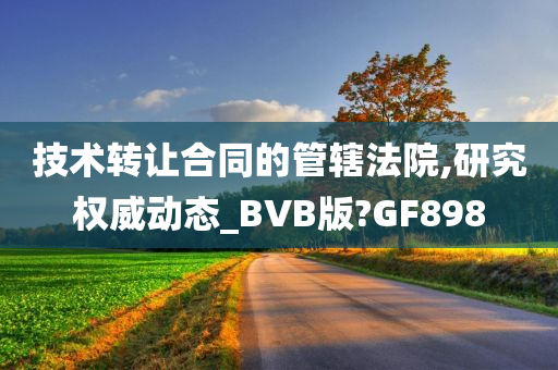 技术转让合同的管辖法院,研究权威动态_BVB版?GF898