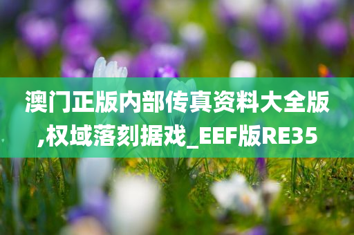 澳门正版内部传真资料大全版,权域落刻据戏_EEF版RE35