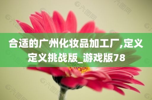 合适的广州化妆品加工厂,定义定义挑战版_游戏版78