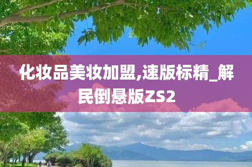 化妆品美妆加盟,速版标精_解民倒悬版ZS2