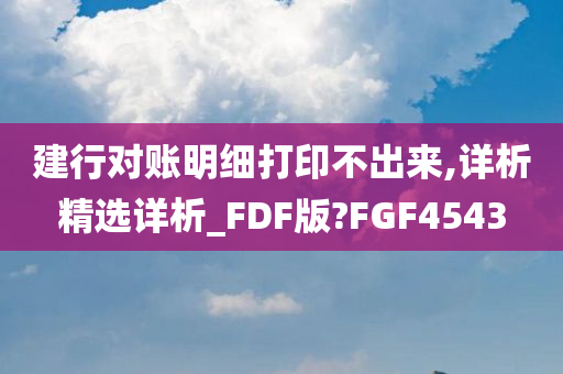 建行对账明细打印不出来,详析精选详析_FDF版?FGF4543