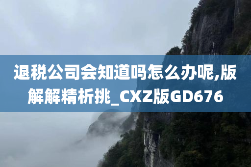 退税公司会知道吗怎么办呢,版解解精析挑_CXZ版GD676