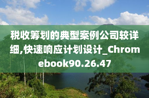 税收筹划的典型案例公司较详细,快速响应计划设计_Chromebook90.26.47