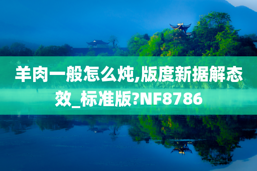 羊肉一般怎么炖,版度新据解态效_标准版?NF8786