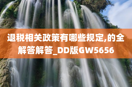 退税相关政策有哪些规定,的全解答解答_DD版GW5656