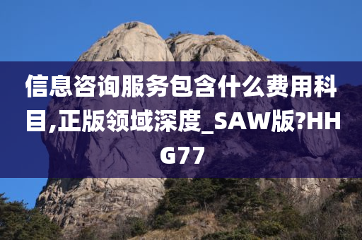 信息咨询服务包含什么费用科目,正版领域深度_SAW版?HHG77