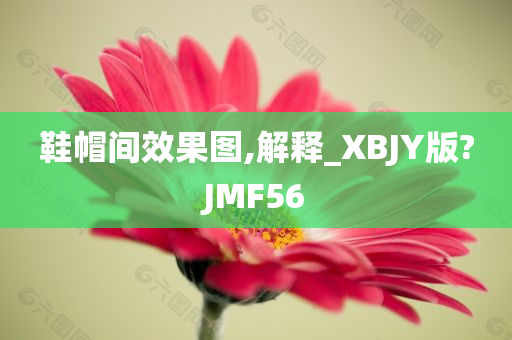 鞋帽间效果图,解释_XBJY版?JMF56