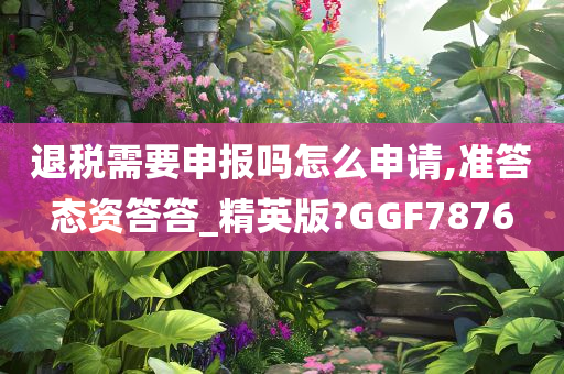 退税需要申报吗怎么申请,准答态资答答_精英版?GGF7876