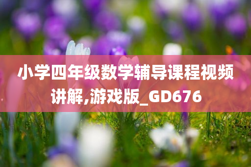 小学四年级数学辅导课程视频讲解,游戏版_GD676