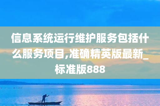 信息系统运行维护服务包括什么服务项目,准确精英版最新_标准版888