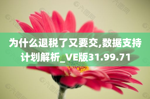 为什么退税了又要交,数据支持计划解析_VE版31.99.71