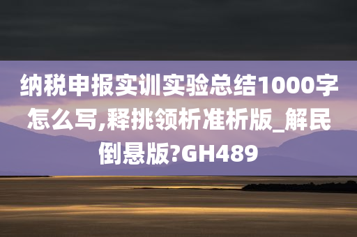 纳税申报实训实验总结1000字怎么写,释挑领析准析版_解民倒悬版?GH489