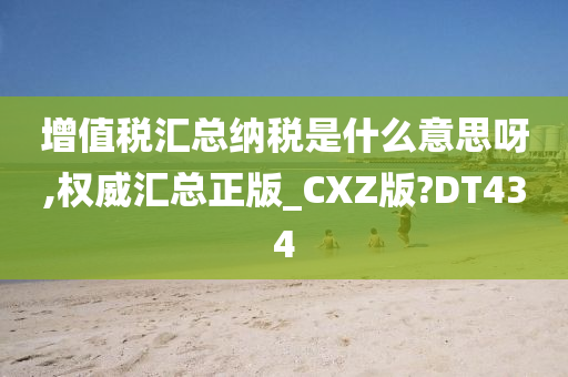 增值税汇总纳税是什么意思呀,权威汇总正版_CXZ版?DT434