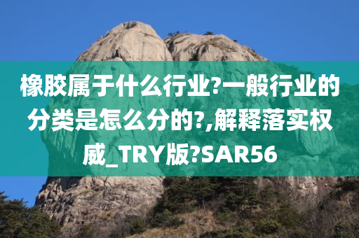 橡胶属于什么行业?一般行业的分类是怎么分的?,解释落实权威_TRY版?SAR56