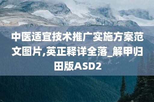 中医适宜技术推广实施方案范文图片,英正释详全落_解甲归田版ASD2