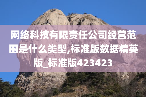 网络科技有限责任公司经营范围是什么类型,标准版数据精英版_标准版423423