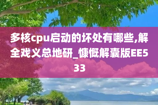 多核cpu启动的坏处有哪些,解全戏义总地研_慷慨解囊版EE533