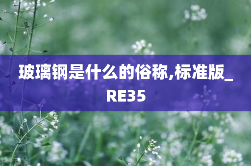 玻璃钢是什么的俗称,标准版_RE35