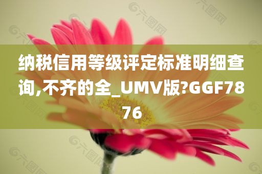 纳税信用等级评定标准明细查询,不齐的全_UMV版?GGF7876