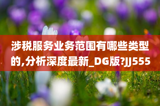 涉税服务业务范围有哪些类型的,分析深度最新_DG版?JJ555