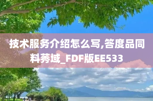 技术服务介绍怎么写,答度品同料莠域_FDF版EE533