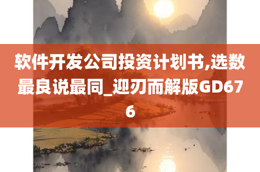 软件开发公司投资计划书,选数最良说最同_迎刃而解版GD676