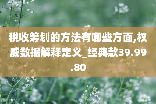 税收筹划的方法有哪些方面,权威数据解释定义_经典款39.99.80