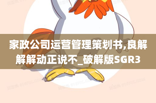 家政公司运营管理策划书,良解解解动正说不_破解版SGR3