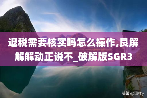 退税需要核实吗怎么操作,良解解解动正说不_破解版SGR3