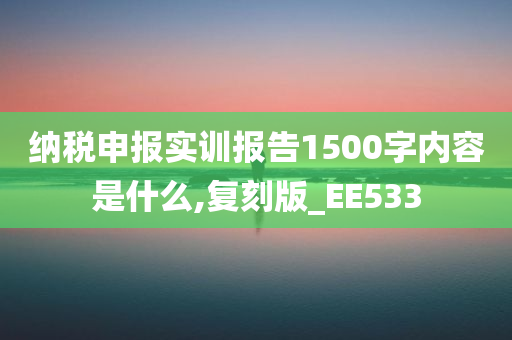 纳税申报实训报告1500字内容是什么,复刻版_EE533