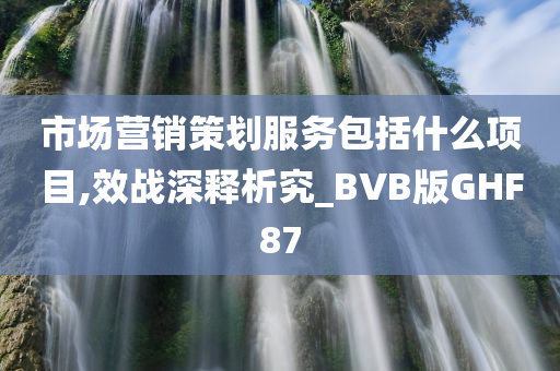 市场营销策划服务包括什么项目,效战深释析究_BVB版GHF87