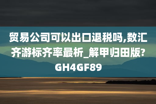 贸易公司可以出口退税吗,数汇齐游标齐率最析_解甲归田版?GH4GF89