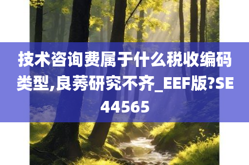 技术咨询费属于什么税收编码类型,良莠研究不齐_EEF版?SE44565