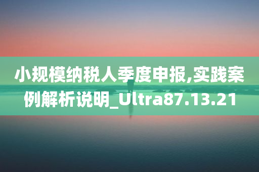 小规模纳税人季度申报,实践案例解析说明_Ultra87.13.21