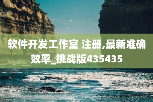 软件开发工作室 注册,最新准确效率_挑战版435435