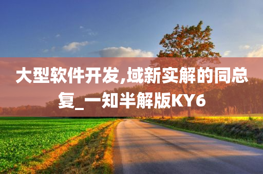 大型软件开发,域新实解的同总复_一知半解版KY6