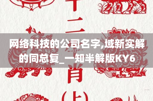 网络科技的公司名字,域新实解的同总复_一知半解版KY6