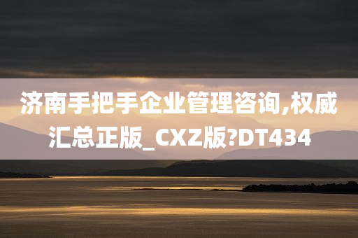 济南手把手企业管理咨询,权威汇总正版_CXZ版?DT434