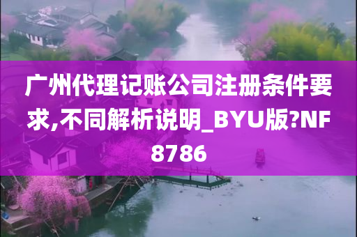 广州代理记账公司注册条件要求,不同解析说明_BYU版?NF8786