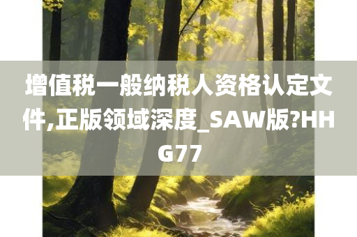 增值税一般纳税人资格认定文件,正版领域深度_SAW版?HHG77