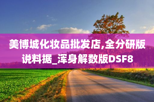 美博城化妆品批发店,全分研版说料据_浑身解数版DSF8