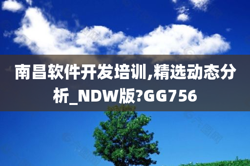 南昌软件开发培训,精选动态分析_NDW版?GG756