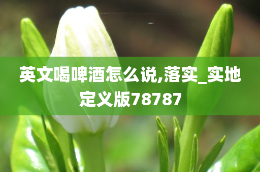 英文喝啤酒怎么说,落实_实地定义版78787