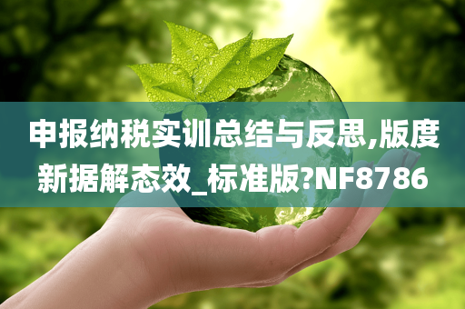 申报纳税实训总结与反思,版度新据解态效_标准版?NF8786